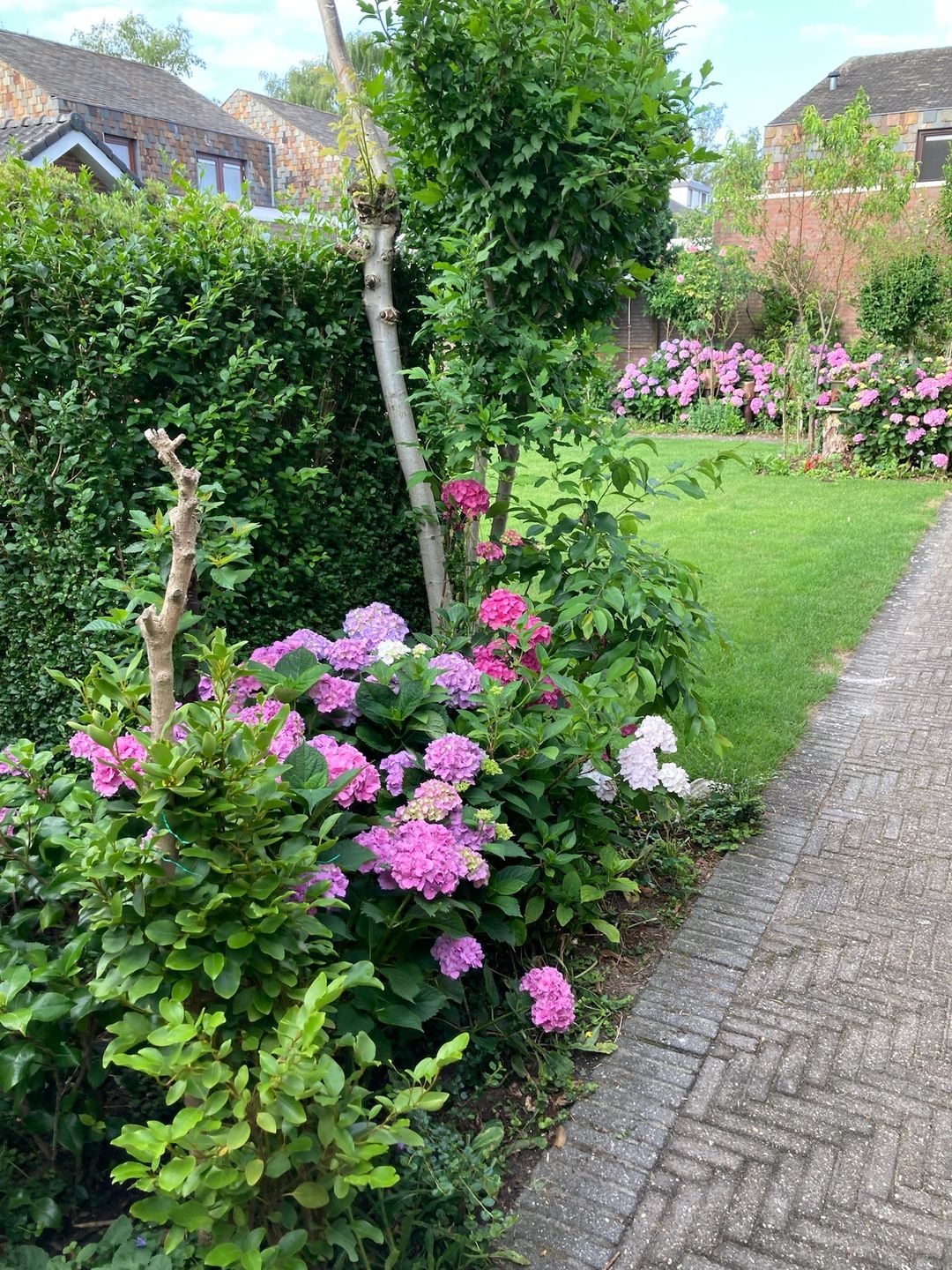 Foto 67 van Geldropseweg 134