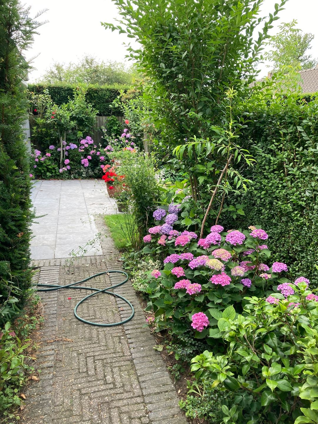 Foto 68 van Geldropseweg 134