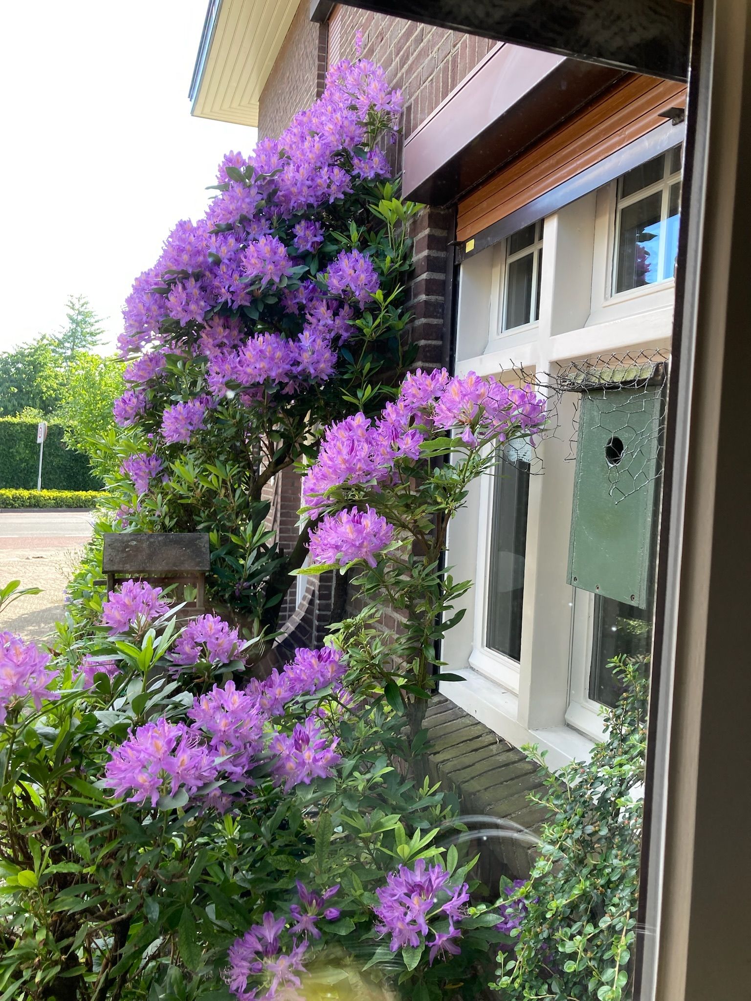 Foto 72 van Geldropseweg 134