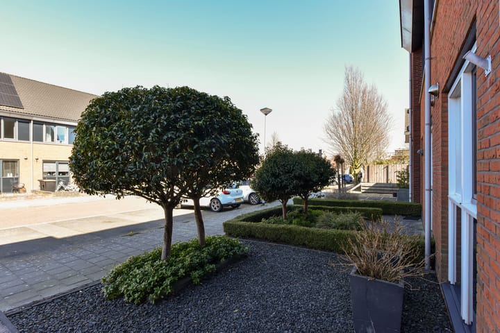 Foto 3 van Scholekster 5