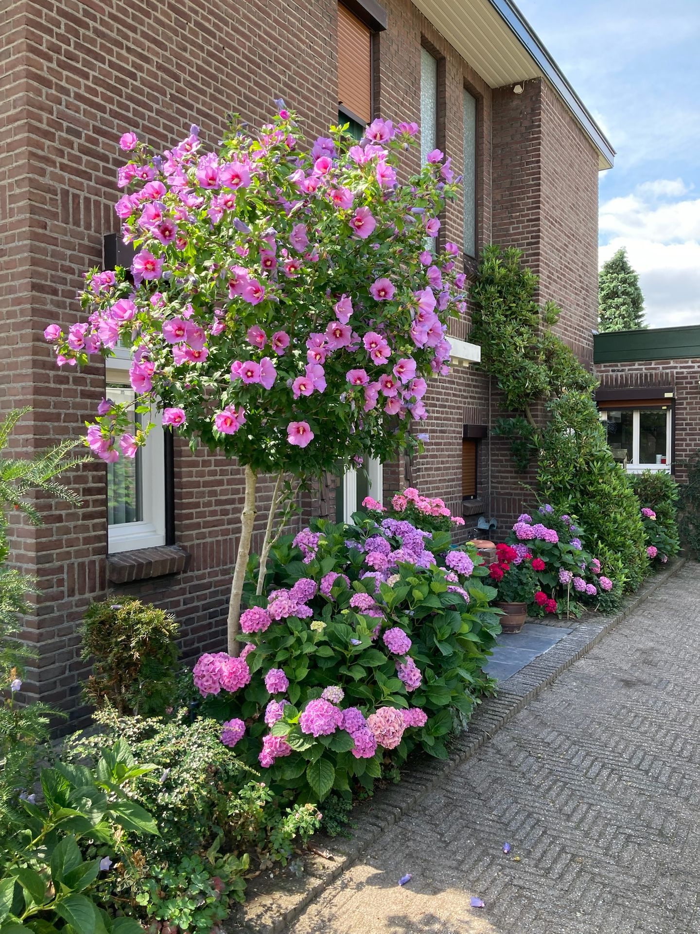 Foto 74 van Geldropseweg 134