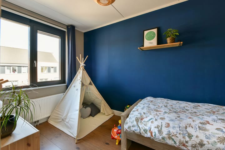 Foto 16 van Scholekster 5