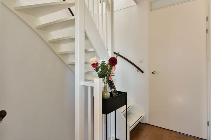 Foto 20 van Scholekster 5