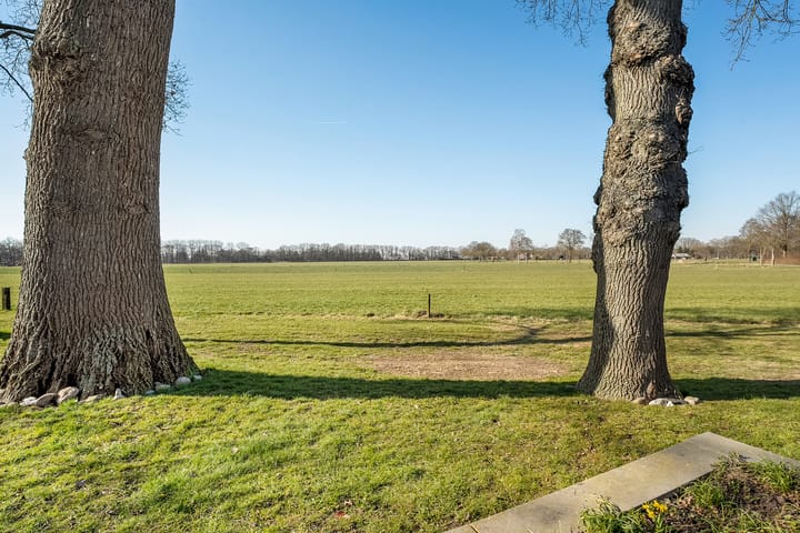 Photo 52 of Alingcamp 51-A