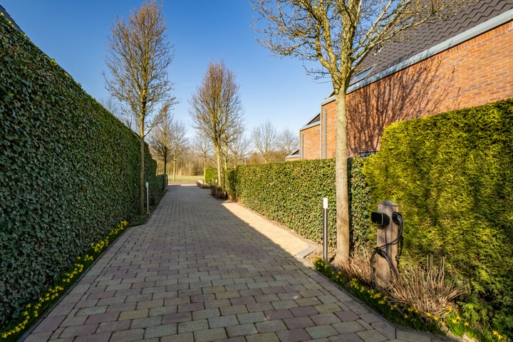 Foto 63 van Jan Vogellaan 24