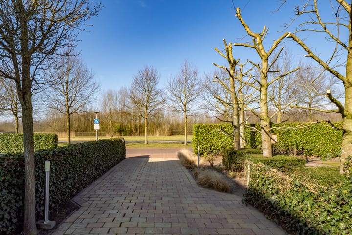 Foto 64 van Jan Vogellaan 24