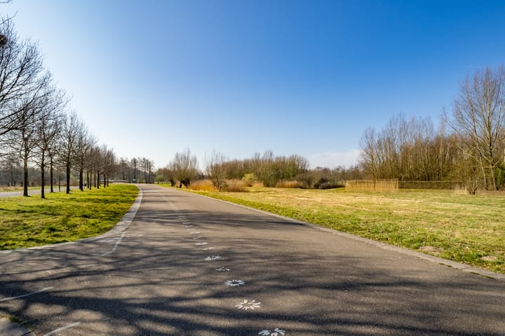 Foto 65 van Jan Vogellaan 24