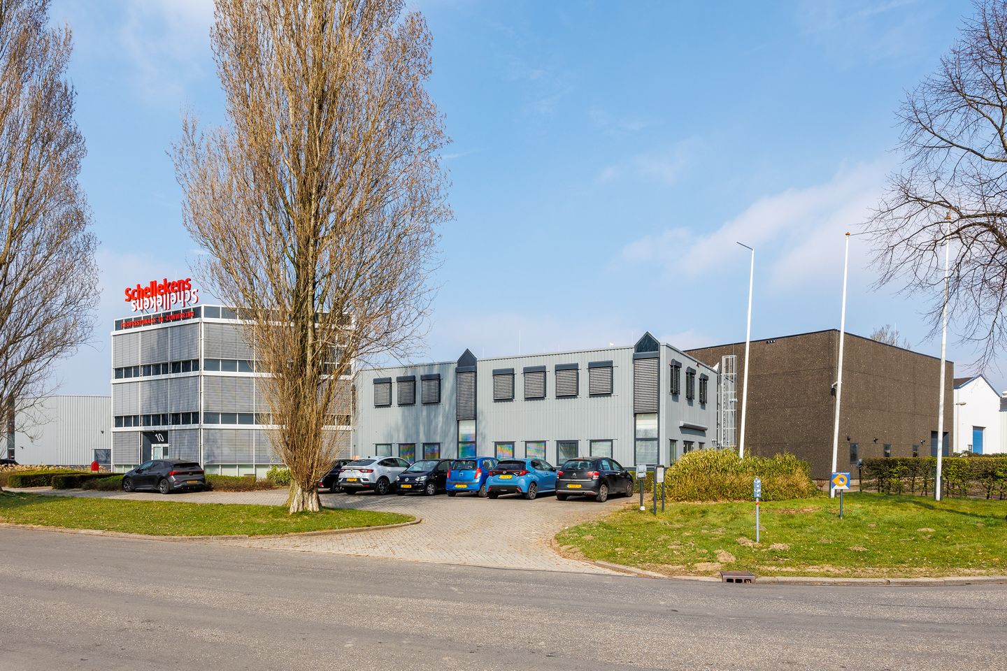 Bekijk foto 2 van Platinawerf 10