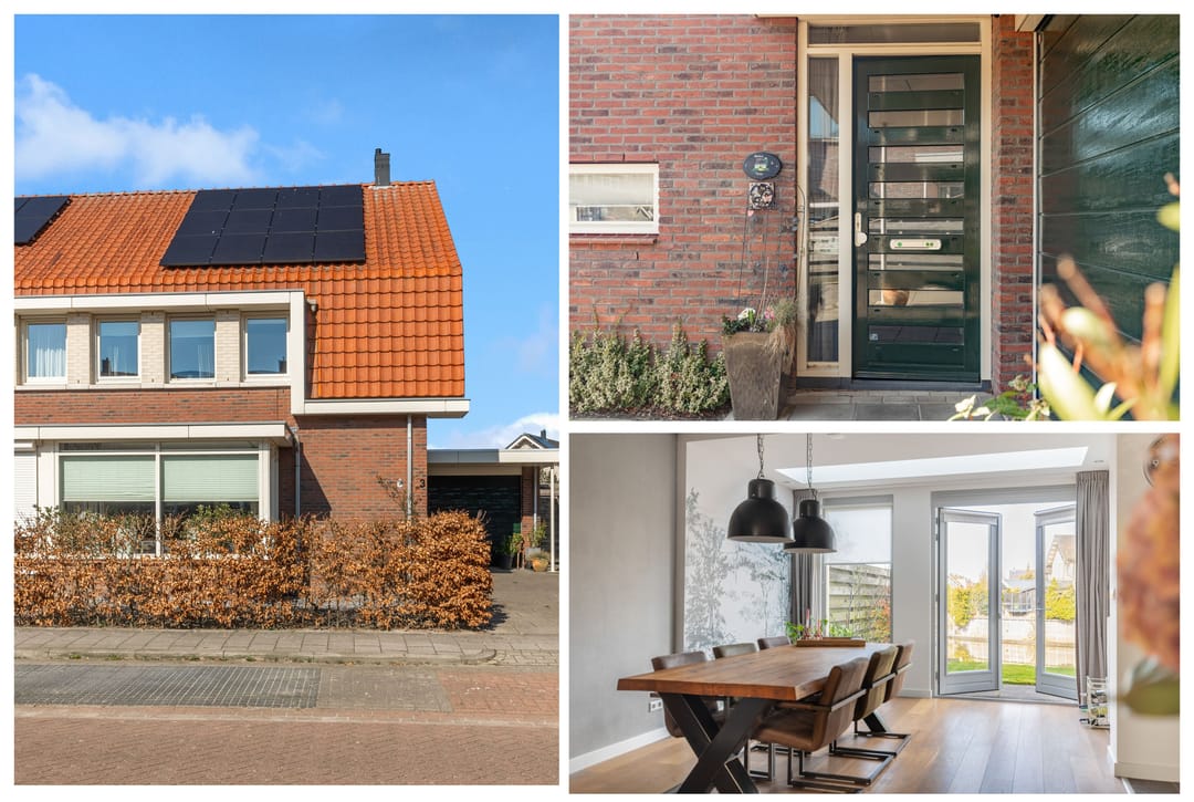 Foto 2 van Advocaatpeer 3