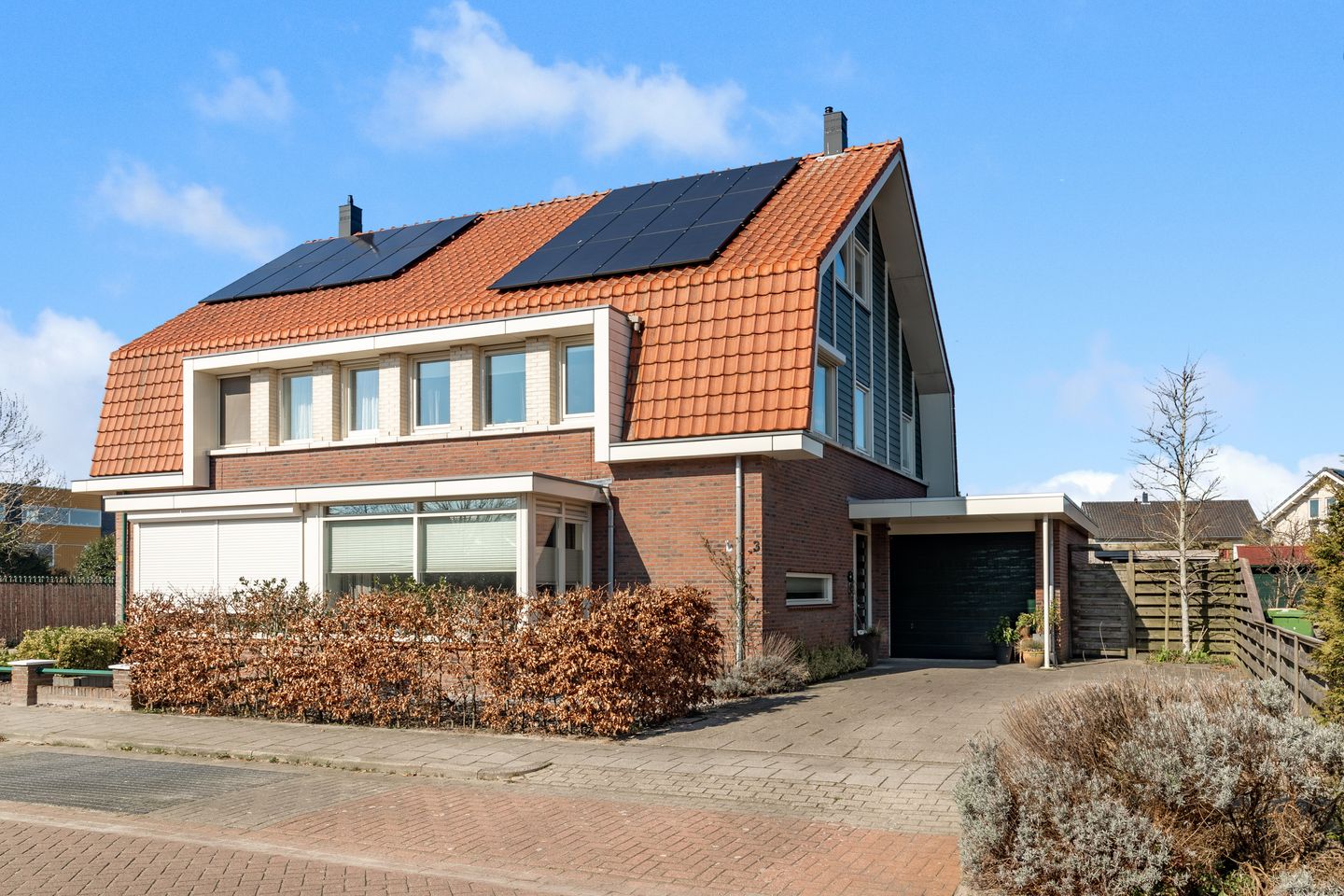 Foto 4 van Advocaatpeer 3