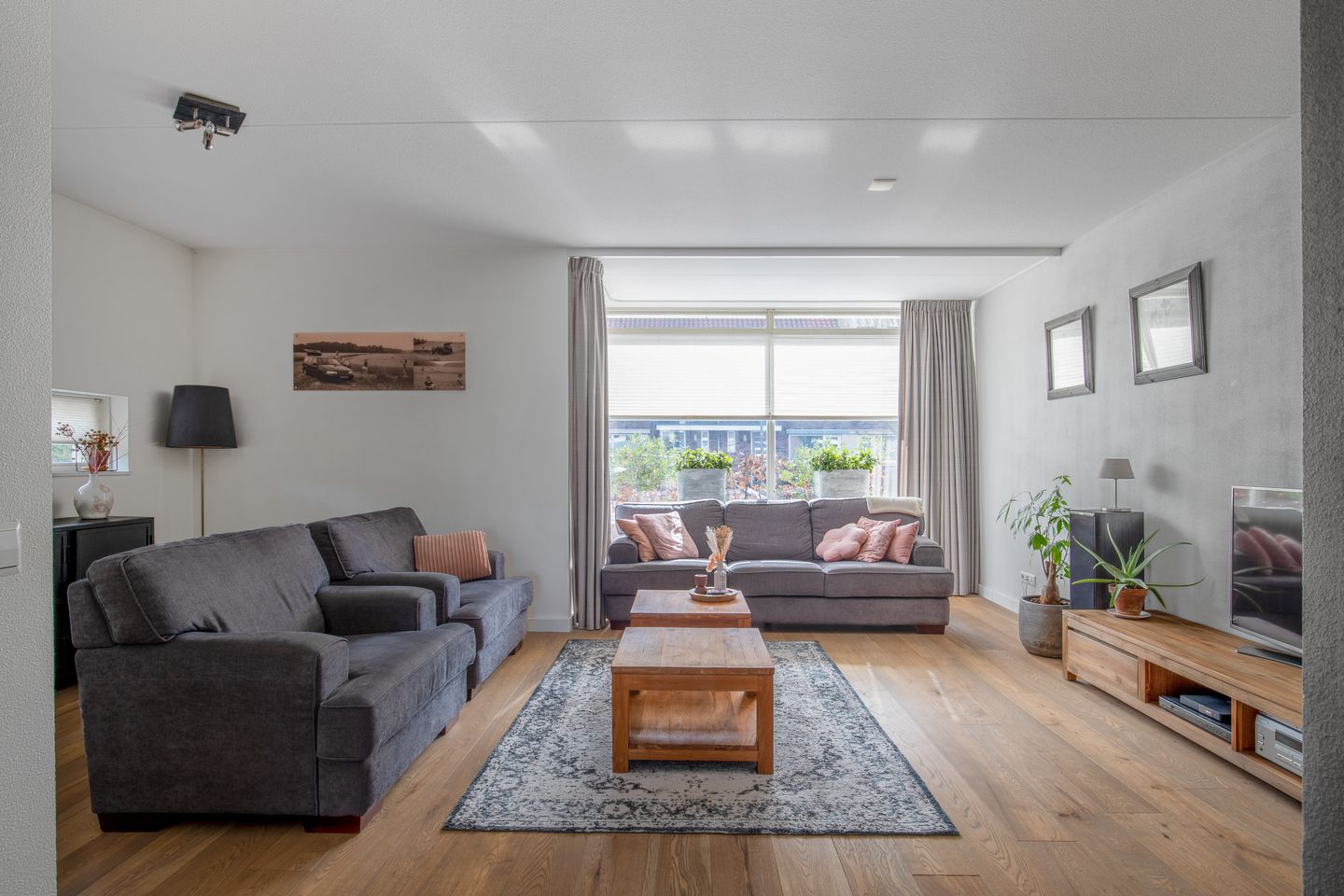 Foto 5 van Advocaatpeer 3