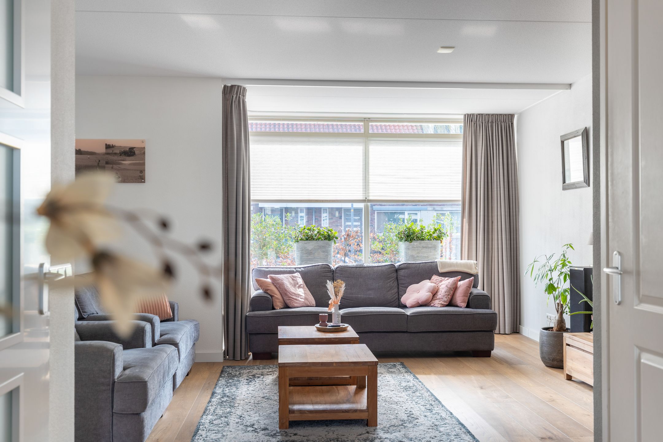 Foto 6 van Advocaatpeer 3