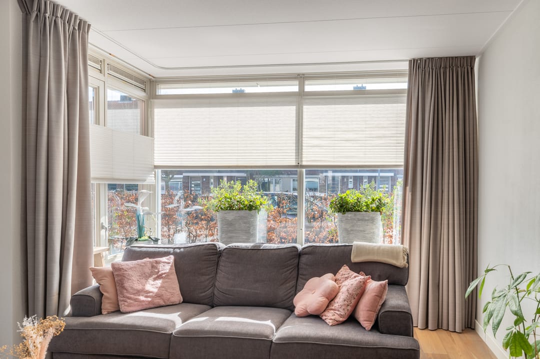 Foto 7 van Advocaatpeer 3