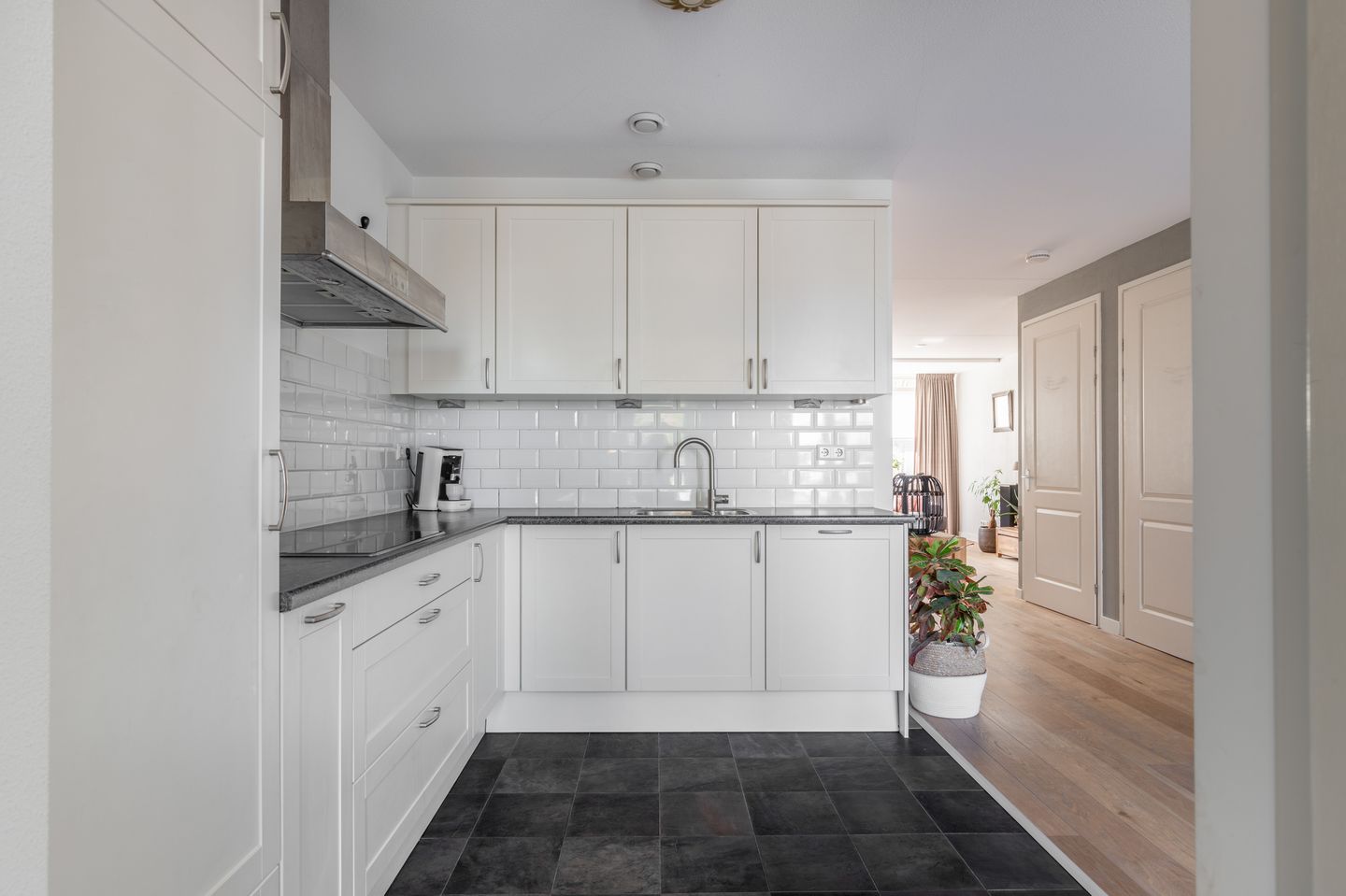 Foto 14 van Advocaatpeer 3