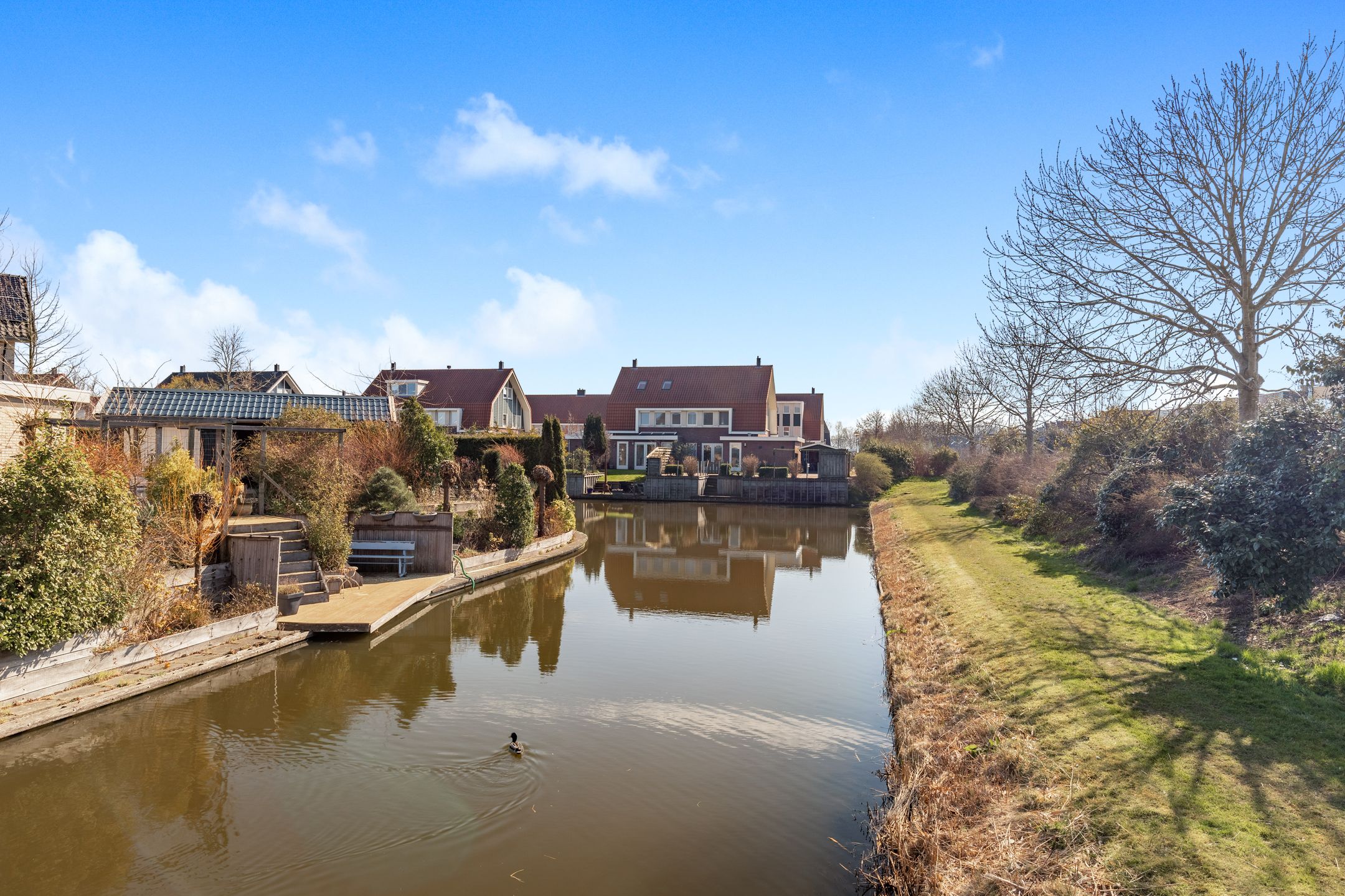 Foto 33 van Advocaatpeer 3