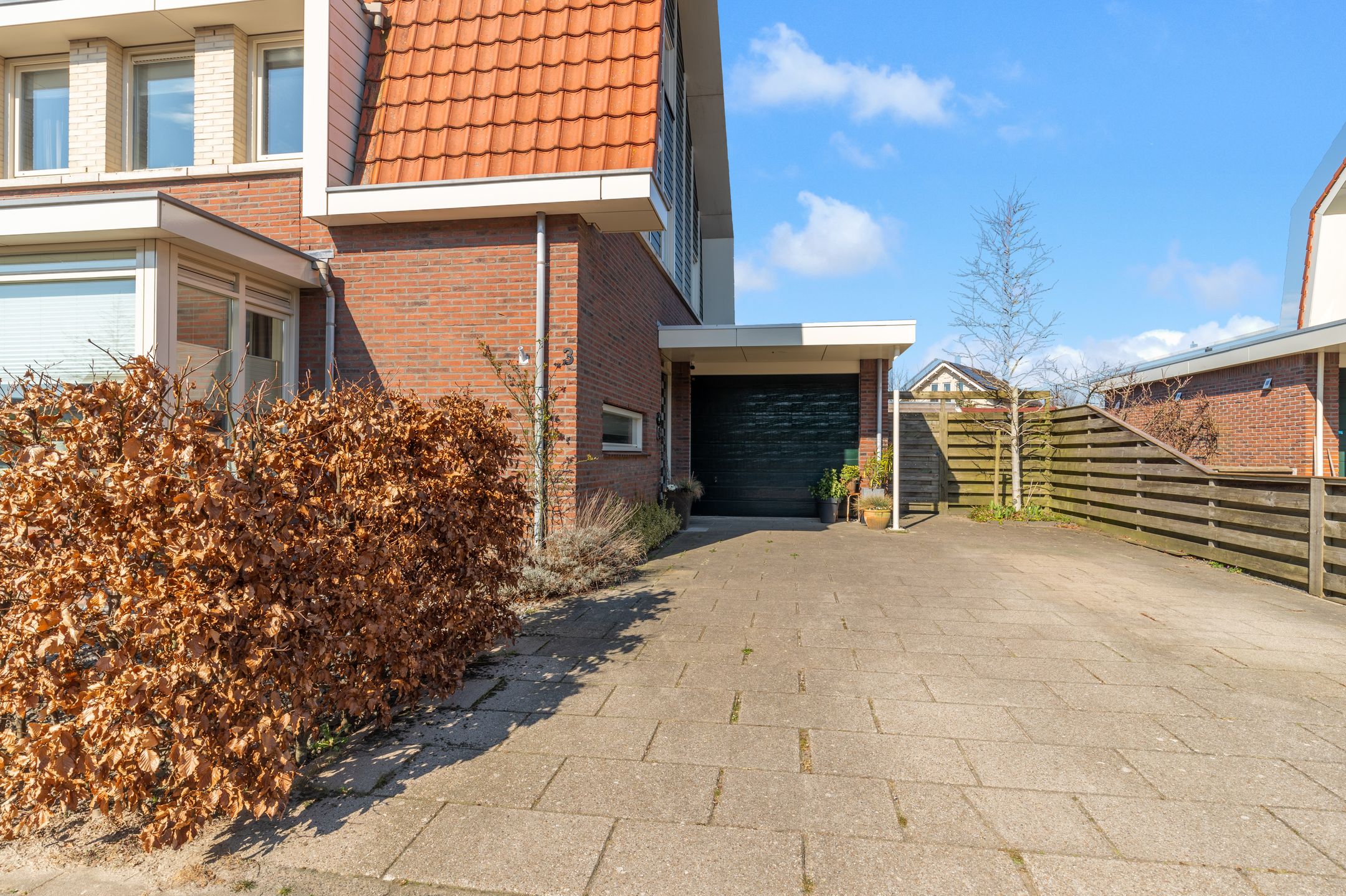 Foto 42 van Advocaatpeer 3