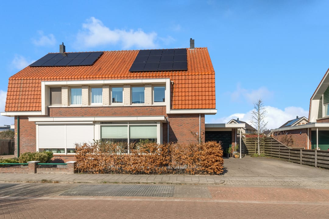 Foto 43 van Advocaatpeer 3