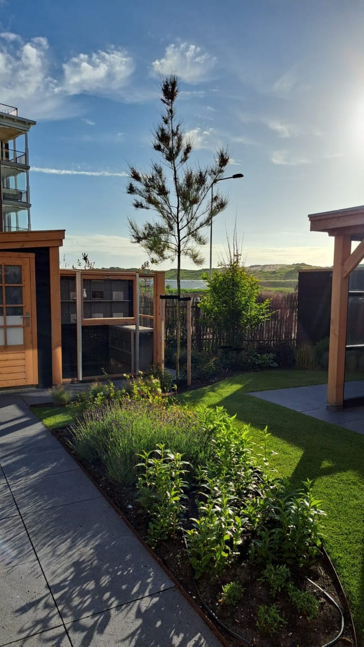 Foto 40 van Hartschelp 54