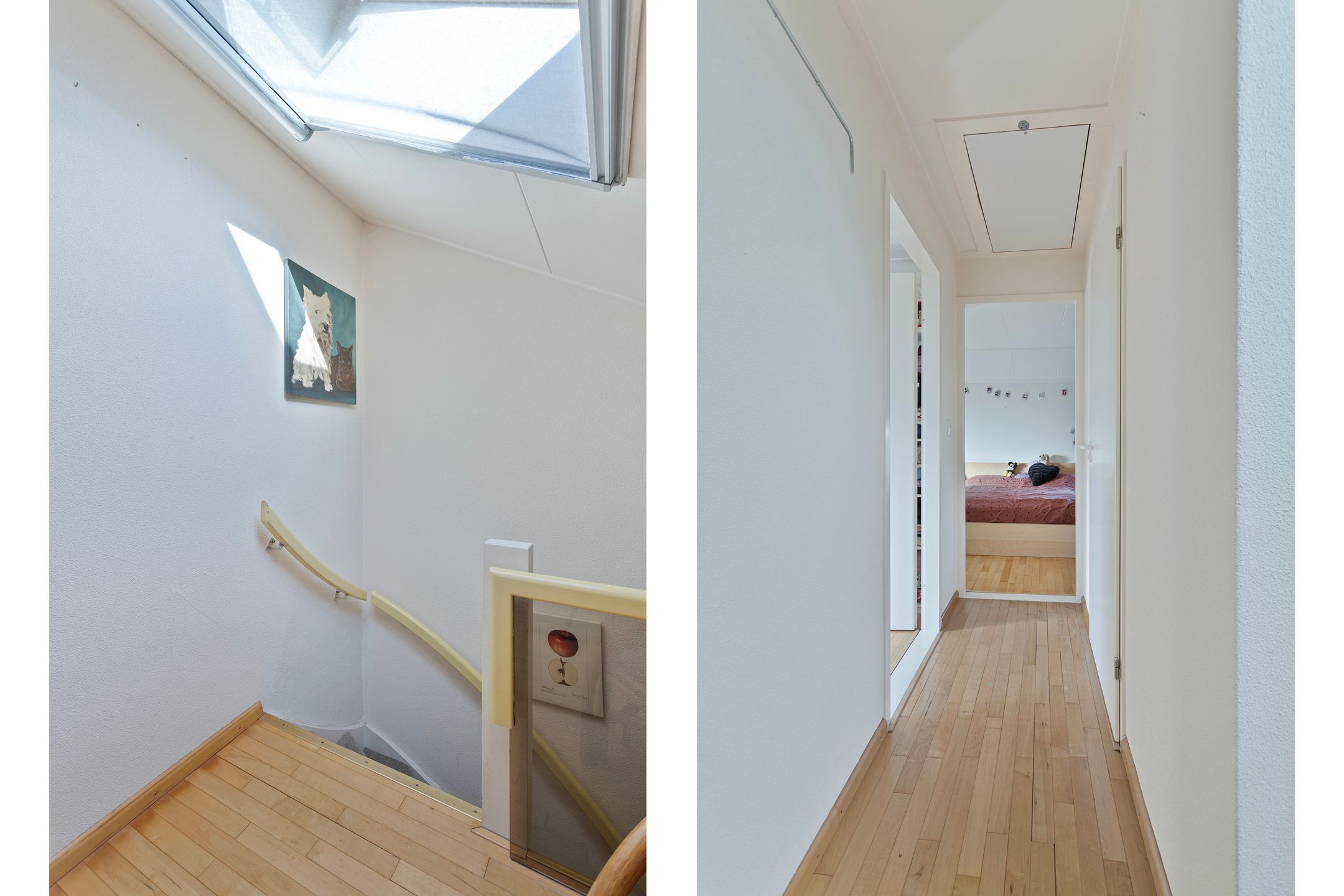 Foto 21 van Zandkreekstraat 1