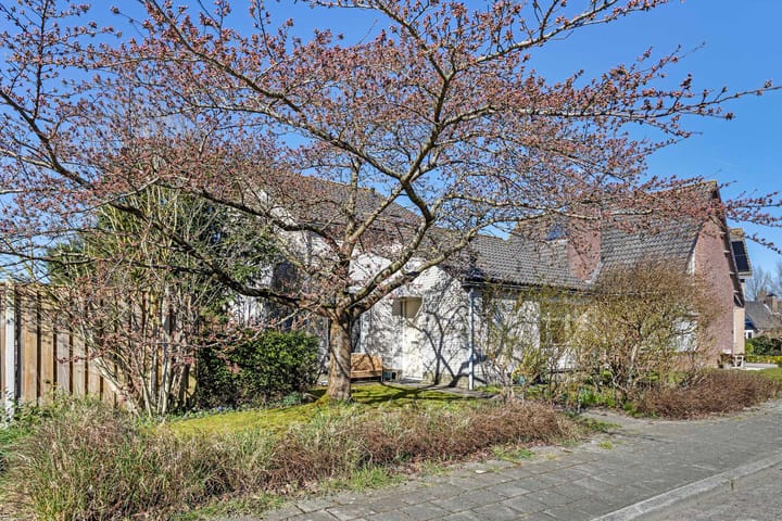 Foto 38 van Zandkreekstraat 1