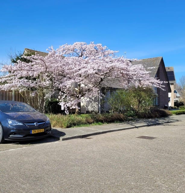 Foto 41 van Zandkreekstraat 1