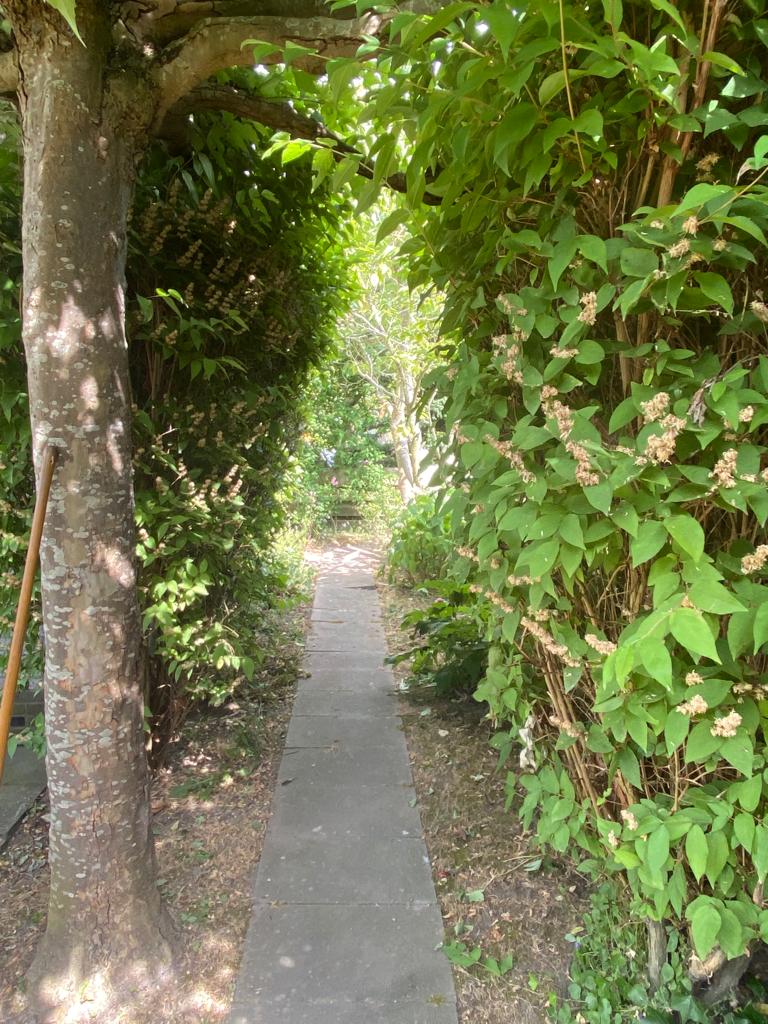 Foto 47 van Zandkreekstraat 1