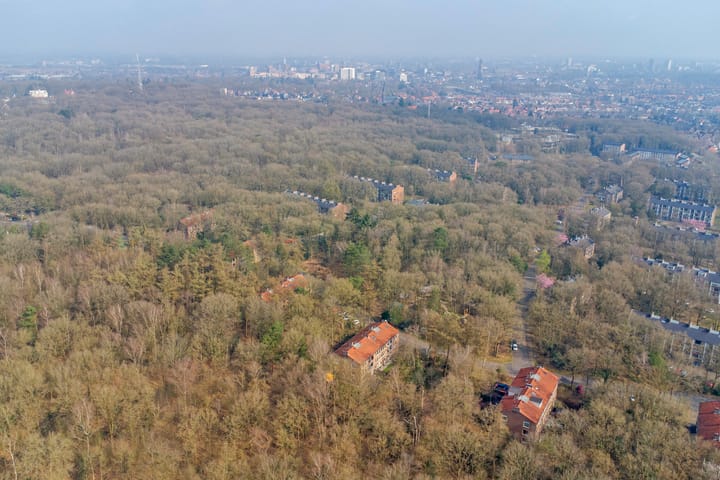 Foto 44 van Arubalaan 60-C