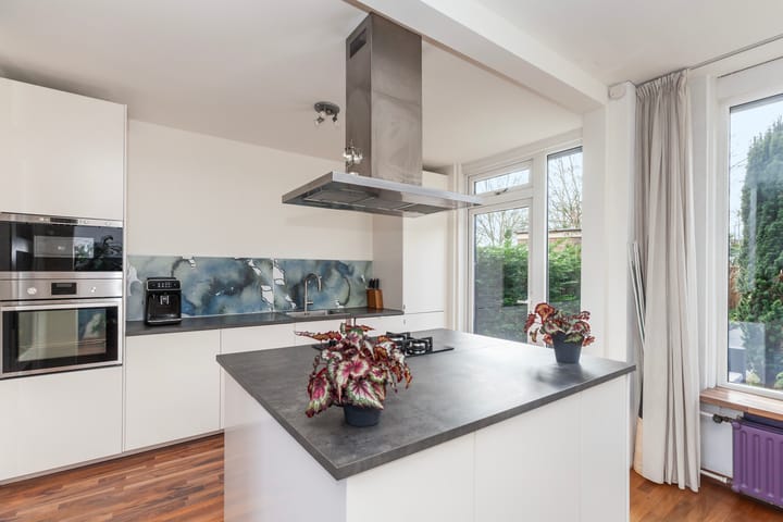 Foto 8 van Heiligenbloem 13