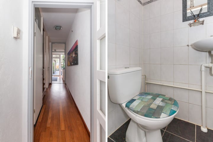 Foto 12 van Heiligenbloem 13