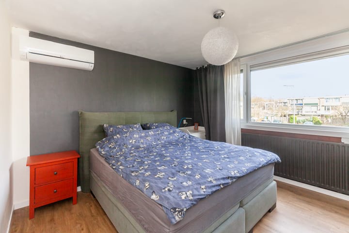 Foto 13 van Heiligenbloem 13