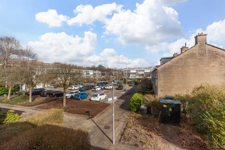 Foto 24 van Heiligenbloem 13