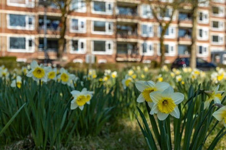 Foto 32 van Wenckebachlaan 17