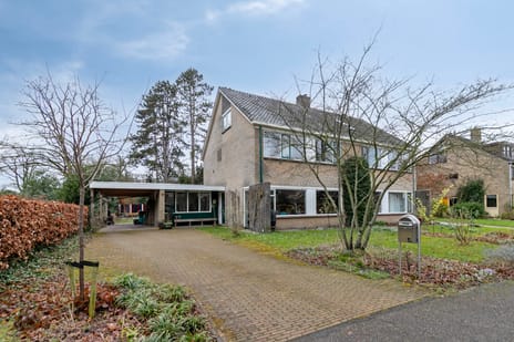 undefined main image