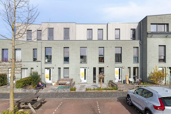 Foto 1 van Pijlkruid 47