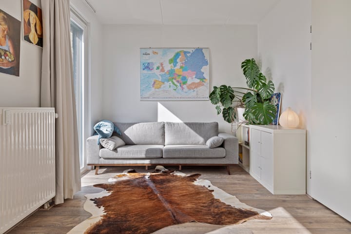 Foto 20 van Pijlkruid 47