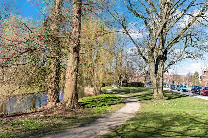 Foto 26 van Willemstraat 16