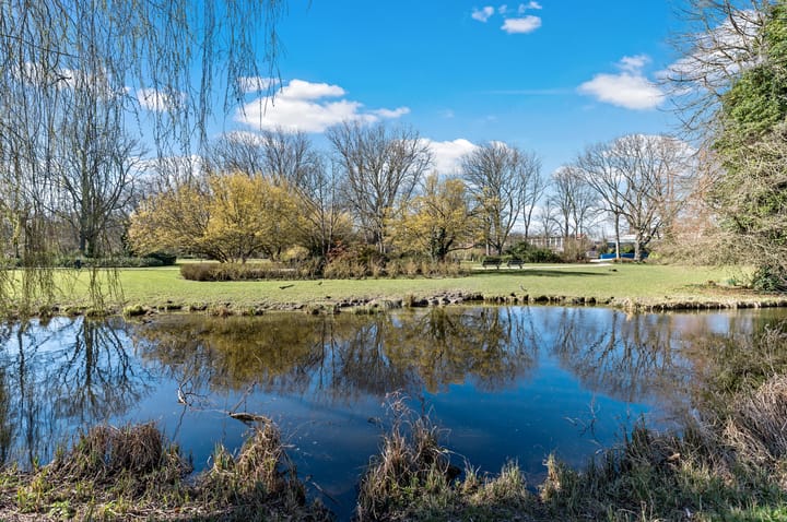 Foto 27 van Willemstraat 16