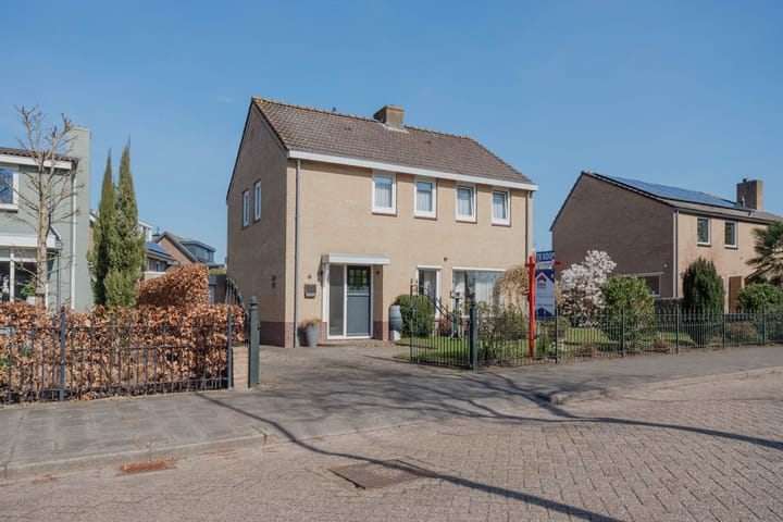 undefined main image