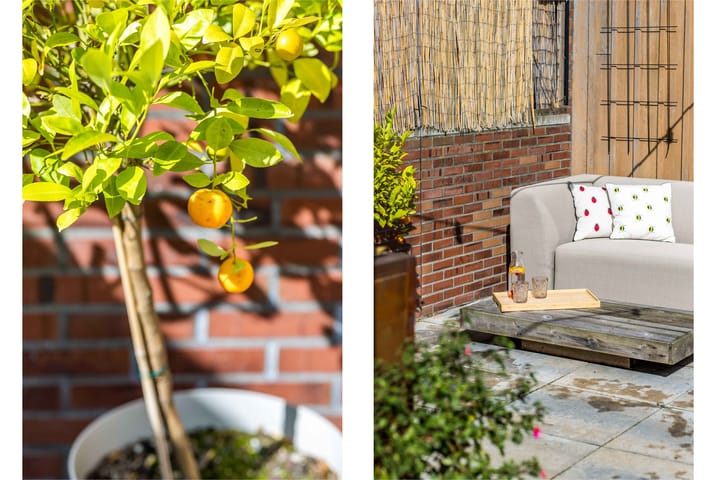 Foto 33 van Ariadnestraat 30