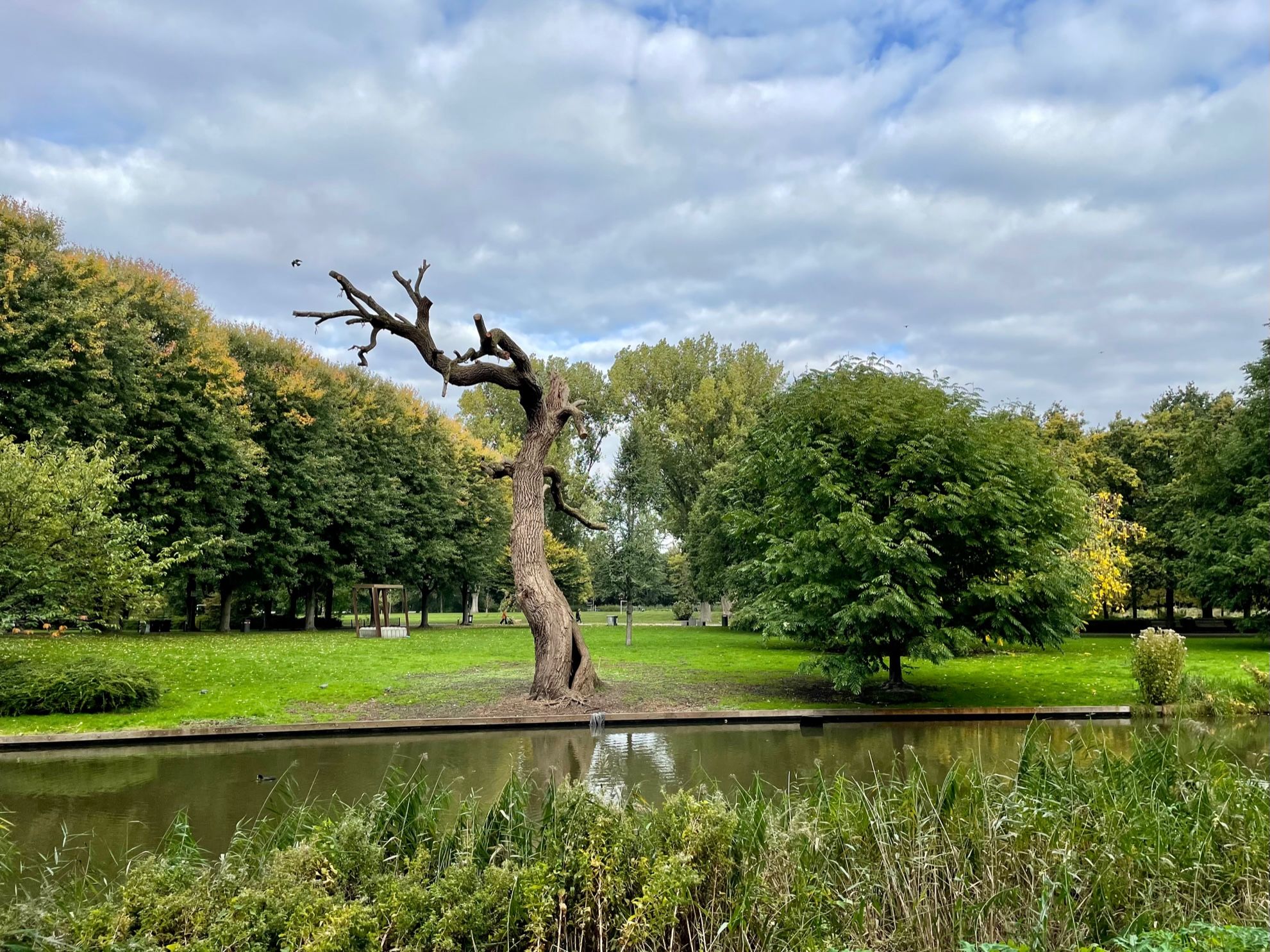 Photo 24 of Bloys van Treslongstraat 32-2