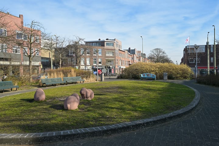 Photo 40 of Thomsonlaan 222