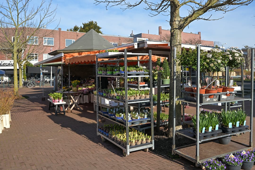 Foto 41 van Thomsonlaan 222