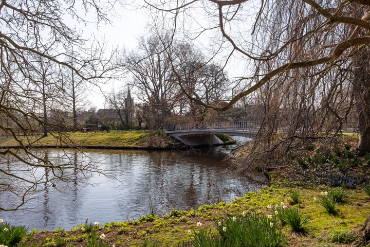 Foto 18 van Levendaal 193