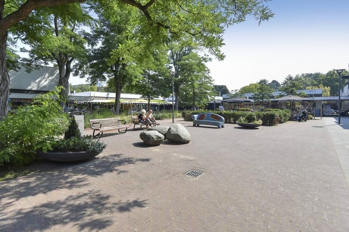 Foto 22 van Cees Laseurlaan 165