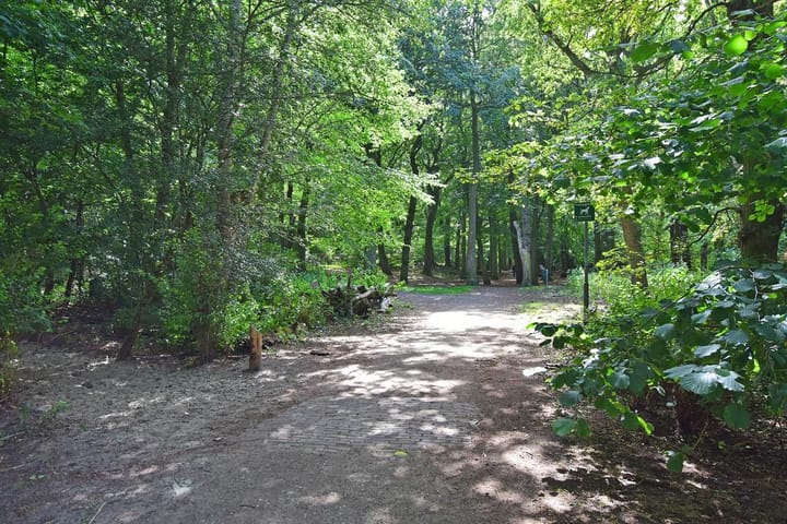 Foto 26 van Cees Laseurlaan 165