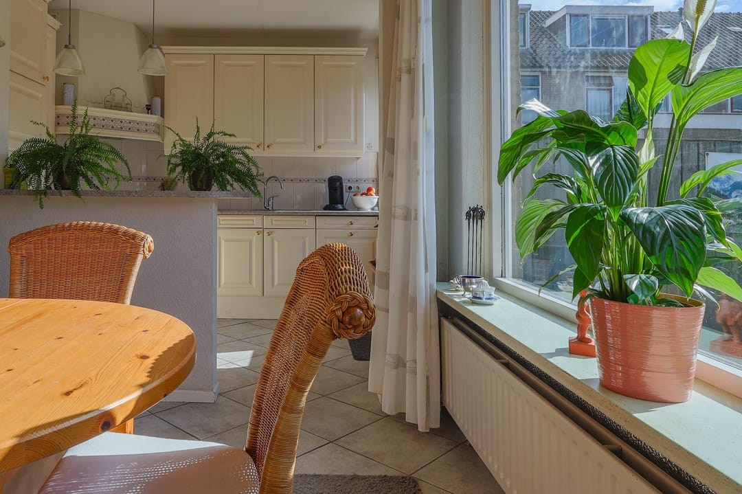 Foto 11 van Wilgenhof 1