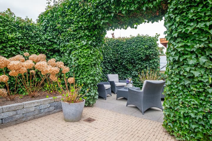 Foto 33 van Karper 64