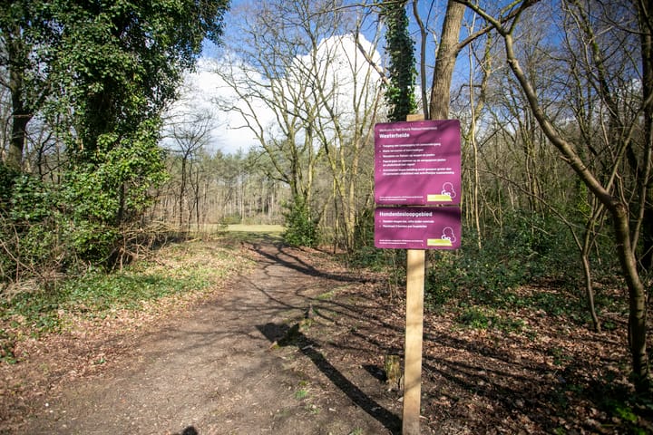 Foto 21 van Jacob van Campenlaan 72