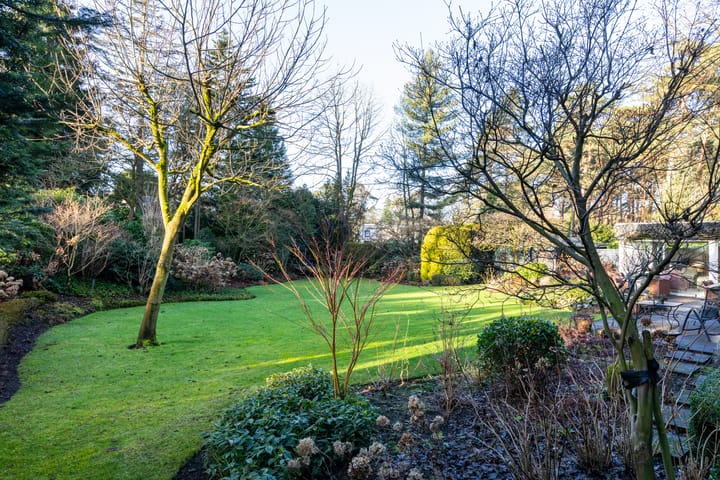 Photo 42 of Parklaan 3