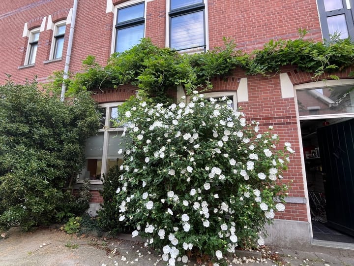 Foto 35 van Feijenoordkade 20